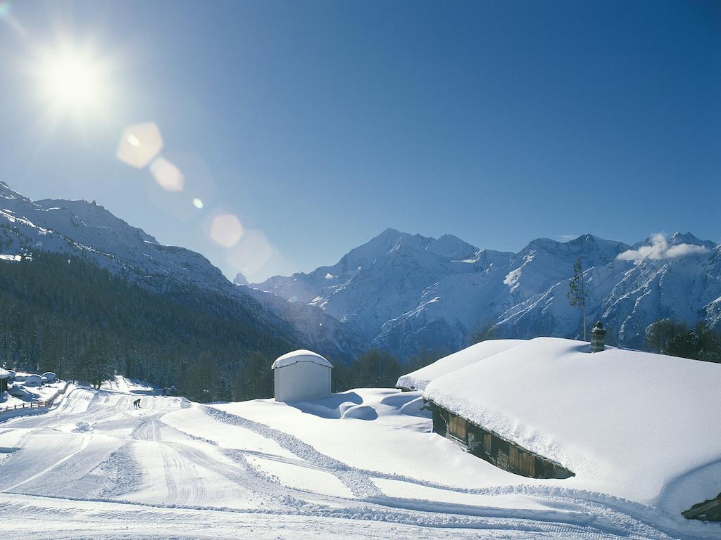 Apartmán Chalet Soldanella Grächen Exteriér fotografie